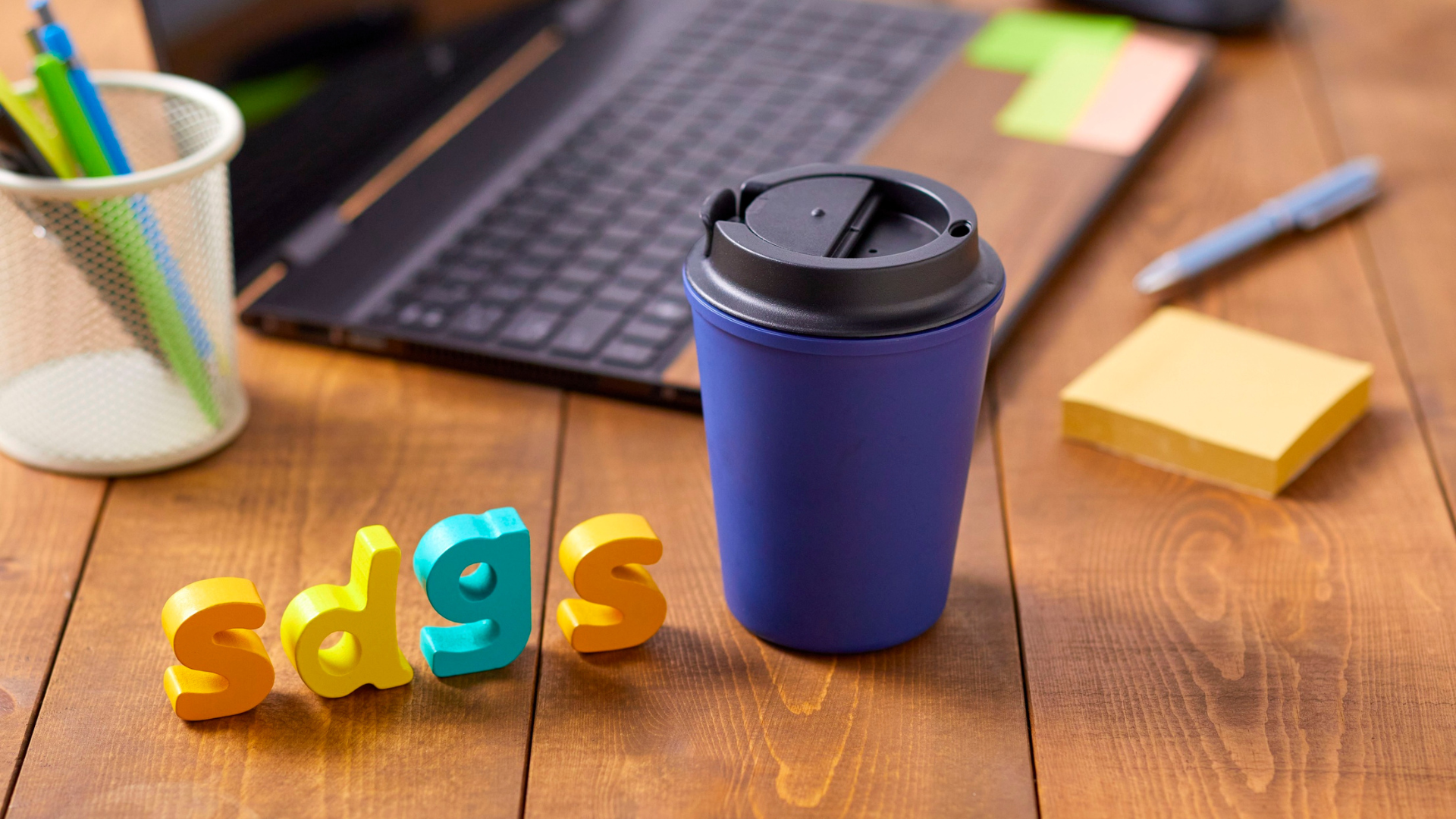 Connessione del volontariato agli SDG dell'Agenda 2030.